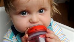 A baby-feeding bottle made with Bisphenol A can give rise to a lifelong health risk