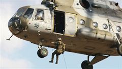 NATO vytvoří síly rychlé reakce. Česko nabídne 150 příslušníků s vrtulníky