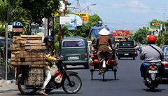 Všichni jezdí na motorkách, vejde se tam celá rodina, leckdy i dvě děti, často se takto vozí bedny i kusy nábytku, píše z Indonésie prezident Václav Klaus.