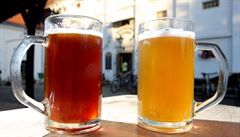 Pivo je hlavním důvodem, proč Chýni navštívit. Polotmavý ležák (vlevo) tvoří asi polovinu produkce minipivovaru. Světlá desítka (vpravo) je pak jedním z nejlepších piv, které jsme kdy okusili.