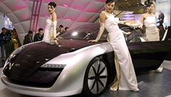 Automobilka Hyundai patří k symbolům úspěchu jihokorejské ekonomiky.