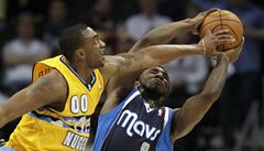 Darrell Arthur (vlevo) a Jae Crowder.