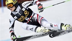 Ob slalom v Aare ovldla Fenningerov, Strachov se nedailo 