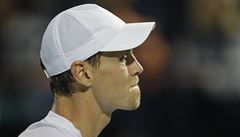 V Davis Cupu u letos nenastoupm, ekl Berdych po prohranm finle