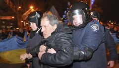 Ukrajinsk policie pozatkala donck prorusk radikly