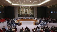 Hdka v OSN. Podncujete nestabilitu, obvinili Amerian Rusko