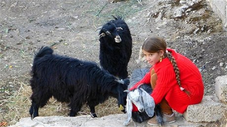 Dívenka s kozami. Lališ, Irák.