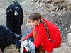 Dívenka s kozami. Lali, Irák.