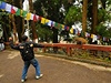 Problémy s opicí, Darjeeling, Indie.
