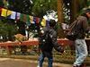 Problémy s opicí, Darjeeling, Indie.