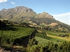 Na úpatí skalního masívu Stolové hory najdete vinice. Msteka Stellenbosch a...