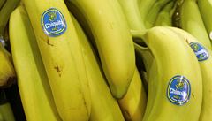 Banány s modrým logem ovládnou svět. Chiquita pohltila konkurenci