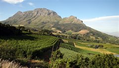 Na úpatí skalního masívu Stolové hory najdete vinice. Msteka Stellenbosch a...