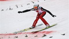 �výcar Simon Ammann.