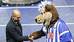 Pep Guardiola pijímá gratulace od maskota.