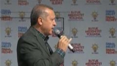 Tureck premir pochvlil armdu za sestelen syrskho letadla