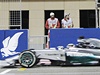 Lewis Hamilton v cíli.