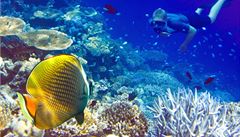 �ivot pod hladinou