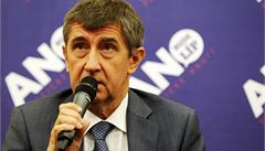 Čtvrtina Čechů by ve volbách do europarlamentu volila ANO, říká průzkum