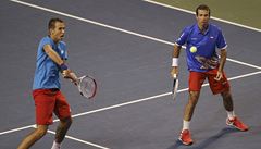 Luká� Rosol (vlevo) a Radek �t�pánek.