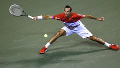 Radek �t�pánek v utkání s Japoncem Item