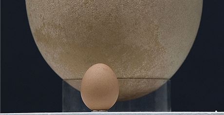 Obí vejce bylo v Londýn vydraeno za tyi miliony korun 