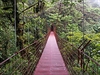 Kostarika, Monteverde. Pí lávky jsou zavené vysoko v korunách strom.