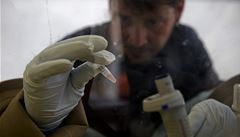 Německo léčí dalšího nemocného ebolou: pracovníka OSN ze Súdánu