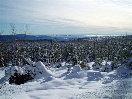 Pohled z umavské erné hory na Alpy (2012).