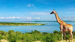 Divoké b�ehy Nilu, Uganda.