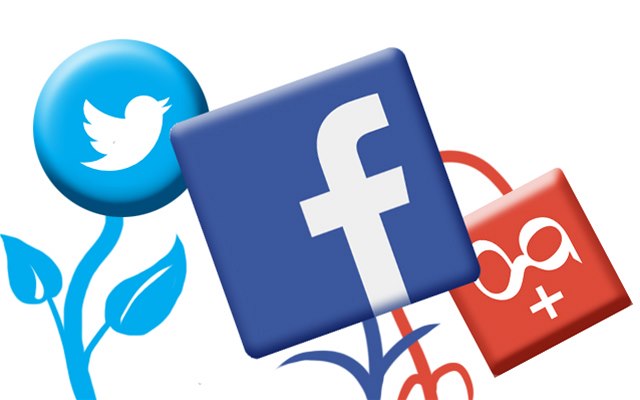 Twitter,Facebook,Google (ilustra�ní). 