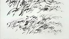 Inge Kosková  Kresba p�i poslechu skladby Leo�e Janá�ka Zápisník zmizelého Z výstavy Grey Gold