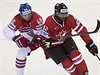 Utkání skupiny A na mistrovství svta v hokeji R - Kanada 12. kvtna v Minsku....