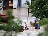 Srbsko a sousední Bosna a Hercegovina bojují s rozsáhlými záplavami. Své domovy...