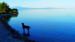 Adeiu Au langage, r. Jean-Luc Godard
