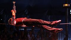 Artista David Dimitri