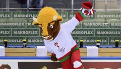 Zubr Volat, maskot mistrovství svta