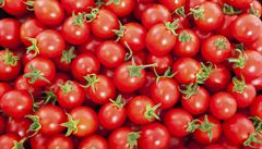 Nejezte žádná cherry rajčata z Maroka, varuje inspekce