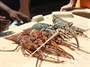 Jsou zde stovky rybářů, prodávají se mořské plody po kusech nebo ve velkém,...
