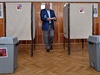 Bývalý prezident Václav Klaus odevzdal 24. kvtna v Praze svj hlas ve volbách...