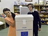 Slovenské eurovolby vyhrál Ficv Smr, ztratí ale jeden mandát, píí média