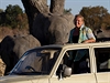 Sharon Pincottová studuje a chrání slony v rezervaci Hwange v Zimbabwe....