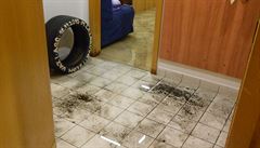 Zatopené divadlo ABC.