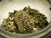 Marihuana (ilustraní fotografie).