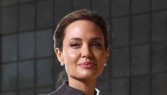 Angelinu Jolie povýšili za humanitární práci do šlechtického stavu