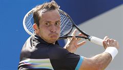 Náp�ah a úder. Na snímku Radek �t�pánek.