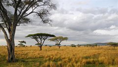 Africká savana má své obrovské kouzlo. Kdo ji jednou navtíví, chce se vracet.