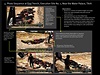 Snímky z masové popravy ve mst Tikrít