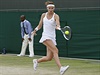 Lucie afáová bojuje na travnatém dvorci ve Wimbledonu.