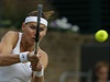 Lucie afáová odpaluje mí v osmifinále Wimbledonu proti Lucii Smitkové.